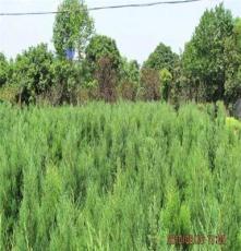 長(zhǎng)沙網(wǎng)度信息科技